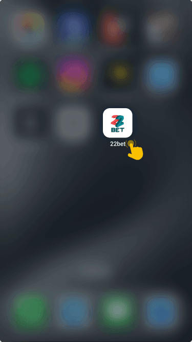 Proceed with the app installation