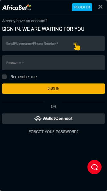 Enter your credentials and log in