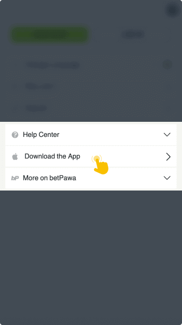 Download the application