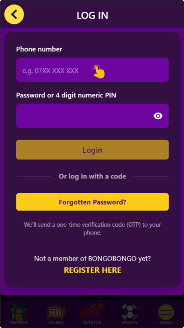 Type in your registered phone number and password or PIN