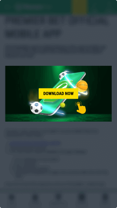 Download the application