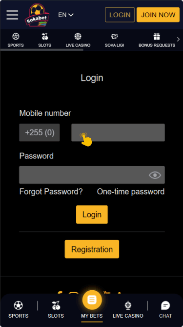 Log in with your credentials